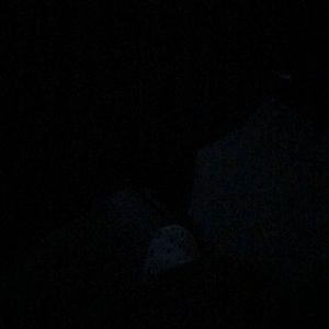 Meet your Posher, Janayah